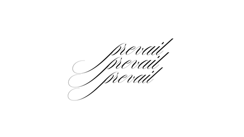 prevail.us